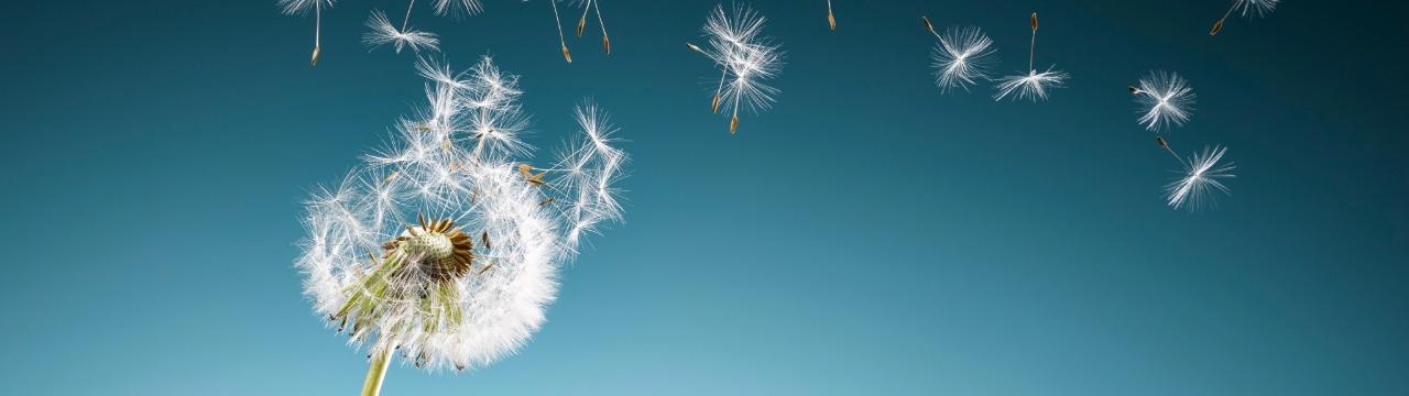 What is breathwork, and how is it different from “just breathing”?